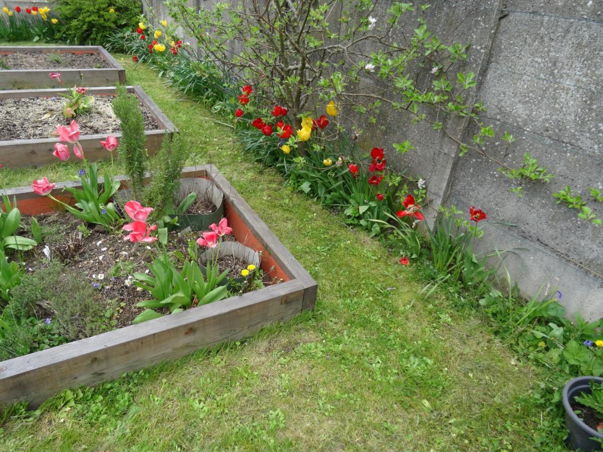 Maison D'Hotes Les Roses Tremieres Saclay Esterno foto