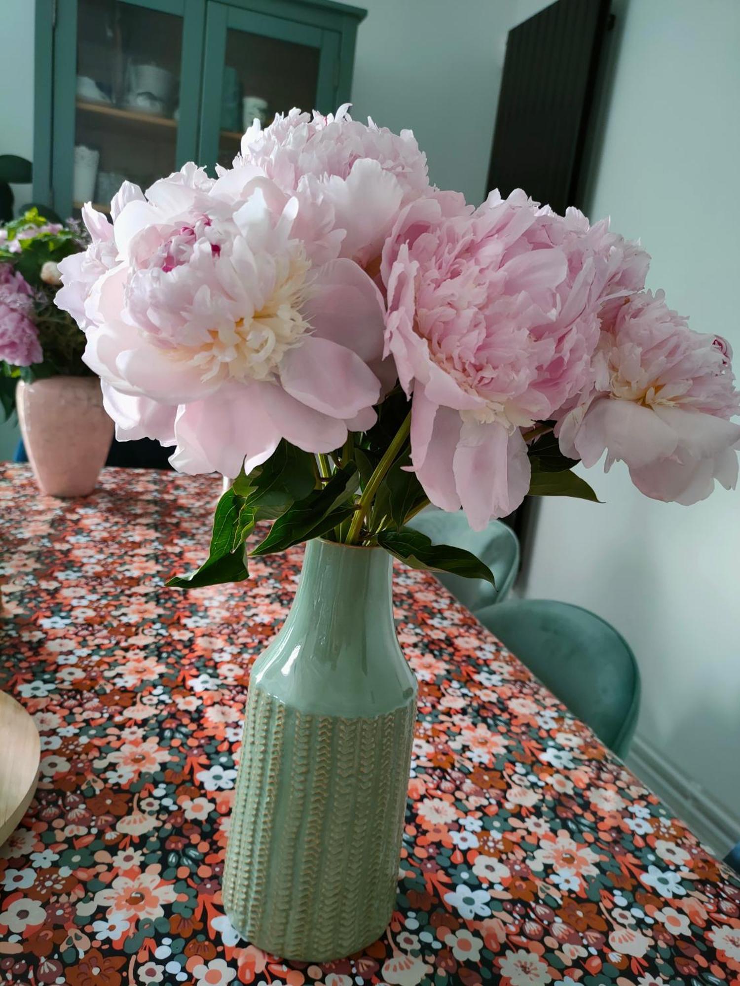 Maison D'Hotes Les Roses Tremieres Saclay Esterno foto