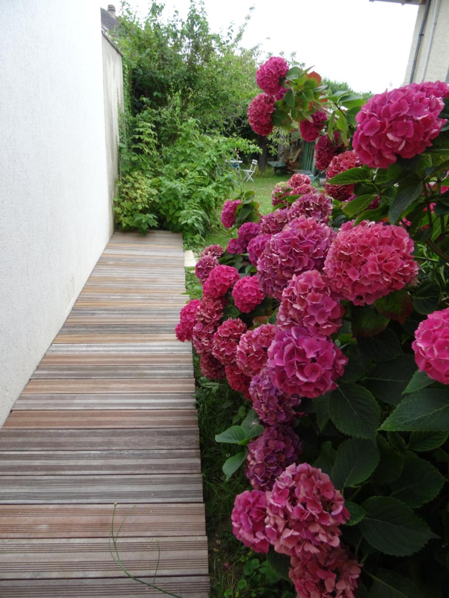 Maison D'Hotes Les Roses Tremieres Saclay Esterno foto